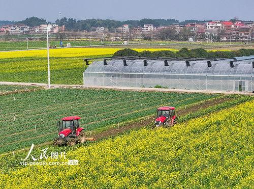 1024国产基地在线,探索中国科技产业的创新与发展  第2张