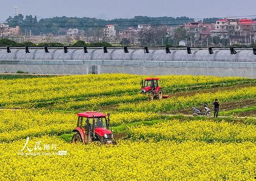 1024国产基地在线,探索中国科技产业的创新与发展  第3张