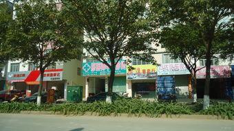 国产综合社区  第2张