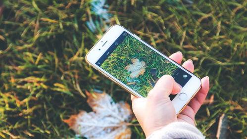 手机看片福利盒子永久国产免费,永久免费国产片库等你探索  第3张