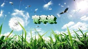 青草国产在线,探寻国产青草在线的魅力与风采  第2张