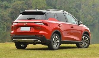 2019国产精品,匠心独运，绽放时代光彩  第2张